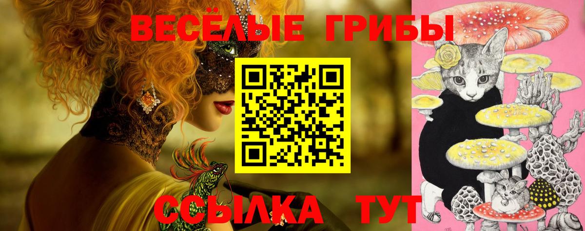 Галлюциногенные грибы GOLDEN TEACHER Чистополь