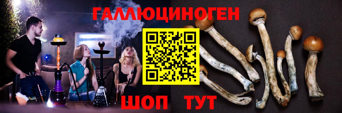 Галлюциногенные грибы ЛСД  что такое наркотик  Чистополь  Вход с VPN 
